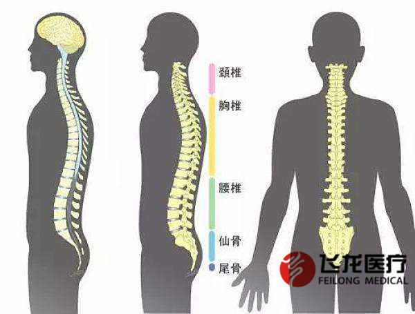 每天沒(méi)精神，很可能是脊柱出了問(wèn)題